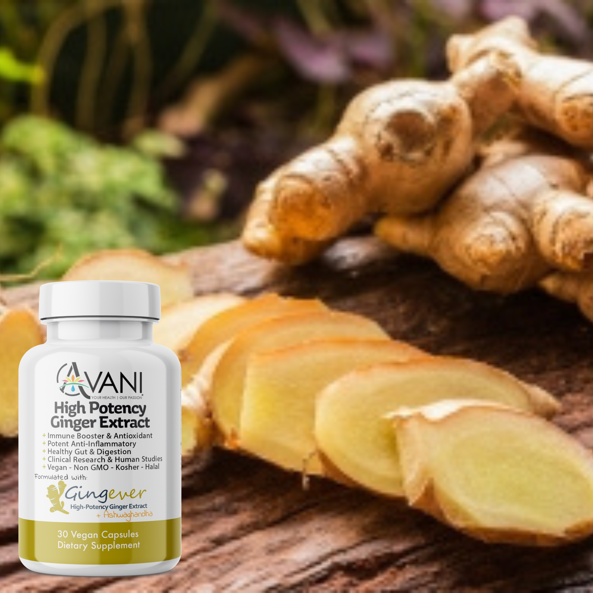 Gingever High Potency Ginger Extract with Ashwagandha - Avani Wellness